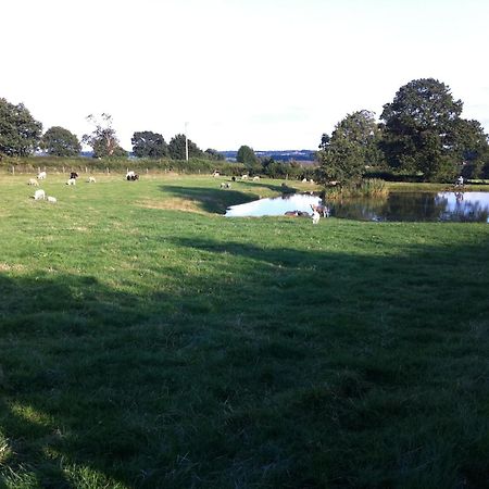 Crich Lane Farm Bed and Breakfast Alfreton Εξωτερικό φωτογραφία